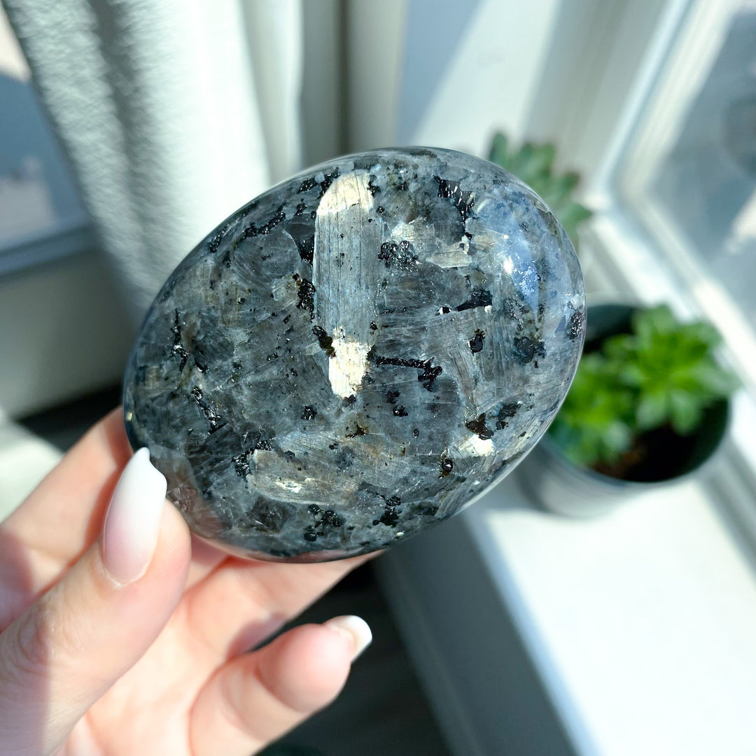 Large Flashy Larvikite Palm 