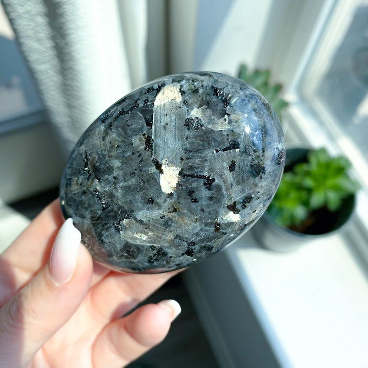 Large Flashy Larvikite Palm 