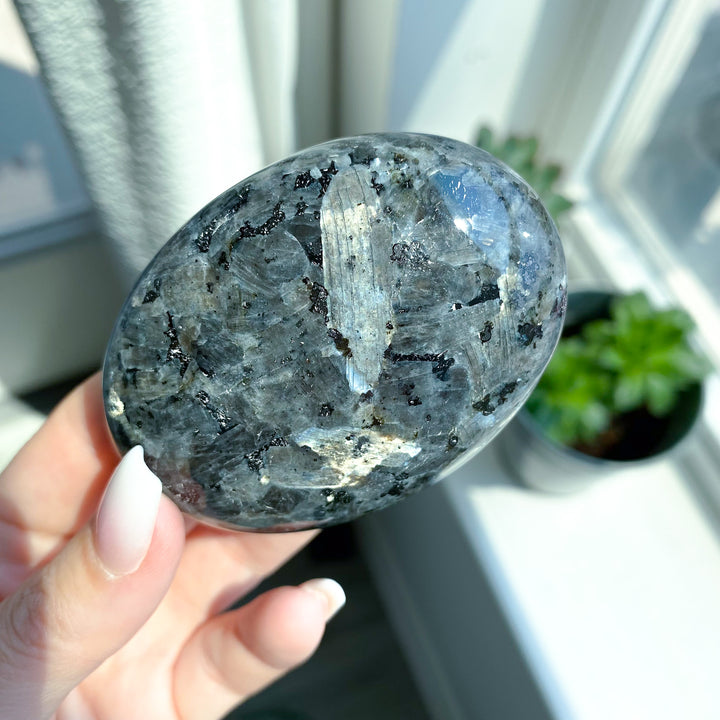 Large Flashy Larvikite Palm 