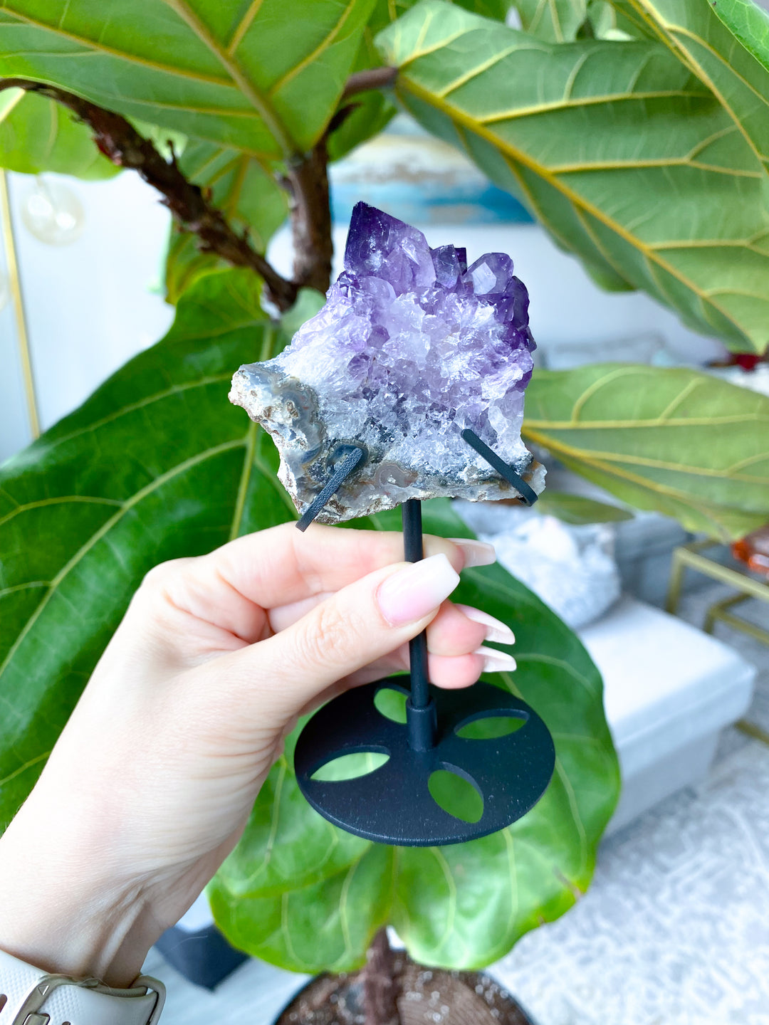 Amethyst "Star" Cluster on Stand