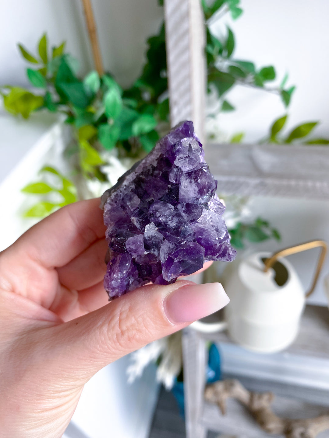 Grape Amethyst Cluster #1
