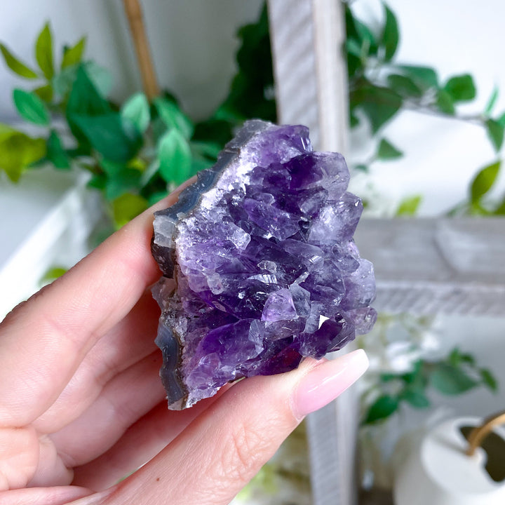 Grape Amethyst Cluster #1