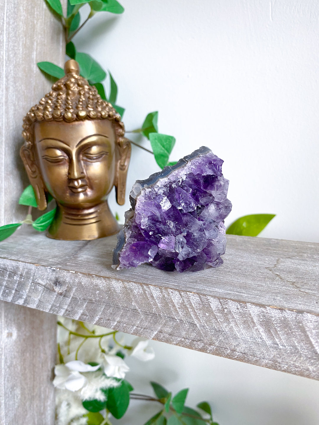 Grape Amethyst Cluster #1