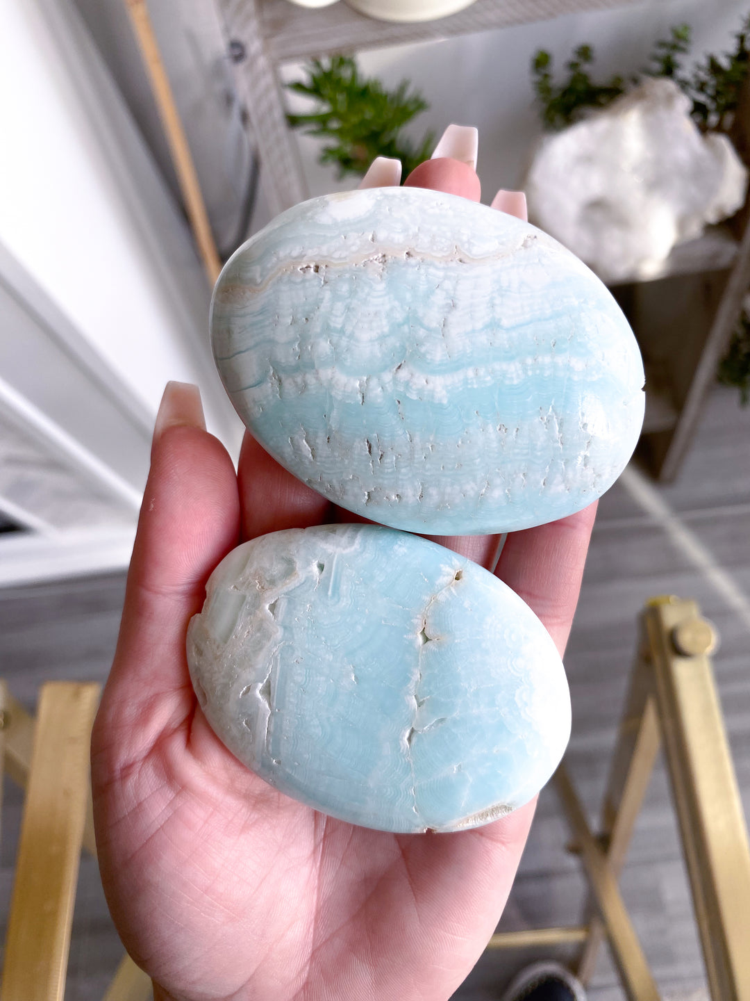 You Pick Caribbean Calcite Palm Stone
