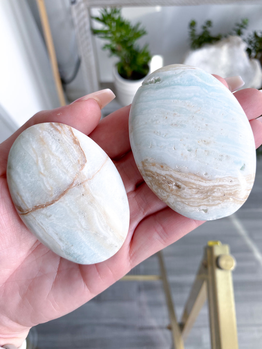 You Pick Caribbean Calcite Palm Stone