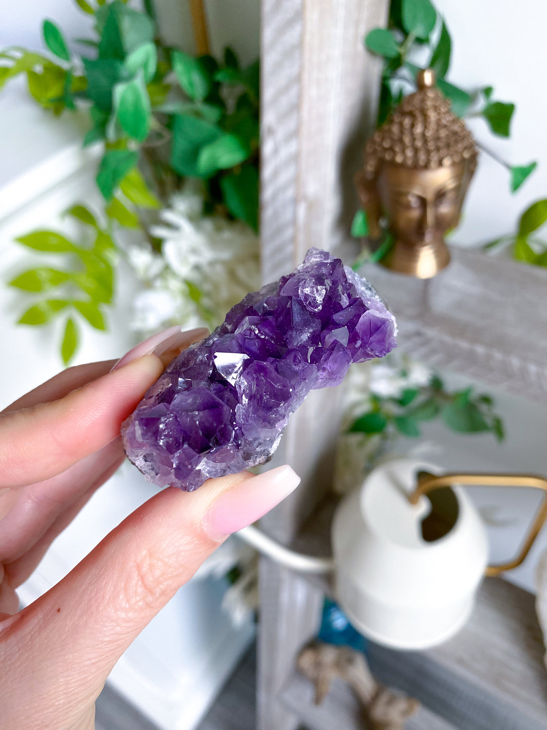 Grape Amethyst Cluster #2