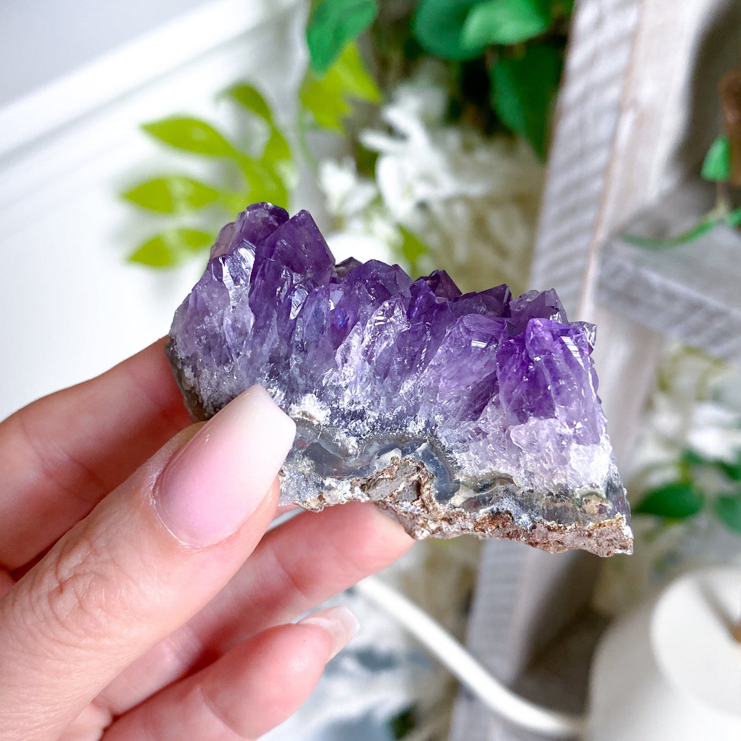 Grape Amethyst Cluster #5