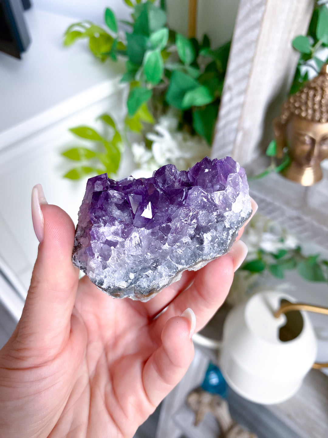 Grape Amethyst Cluster #2