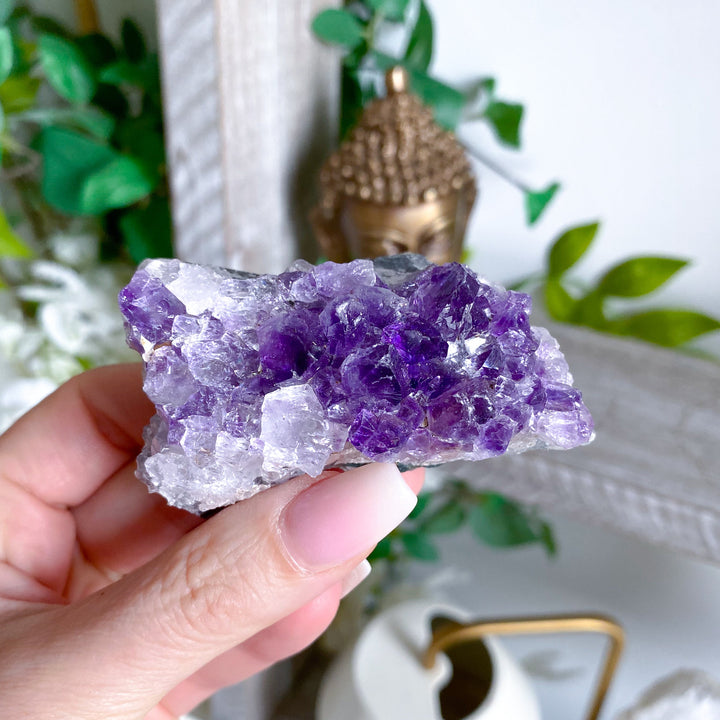 Grape Amethyst Cluster #5