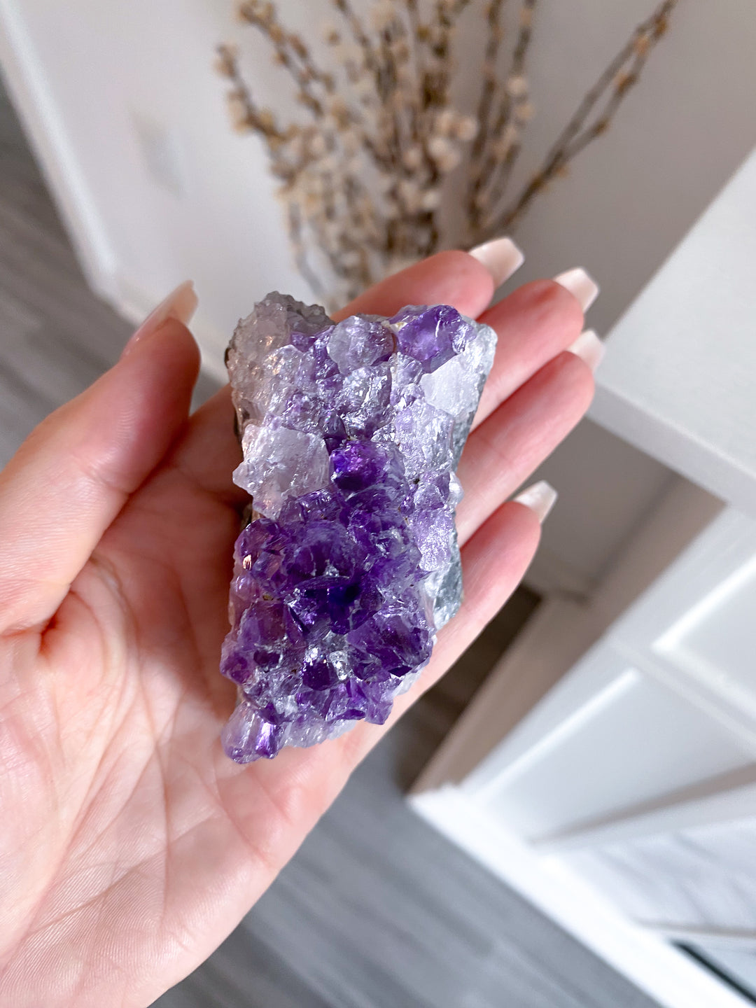 Grape Amethyst Cluster #5