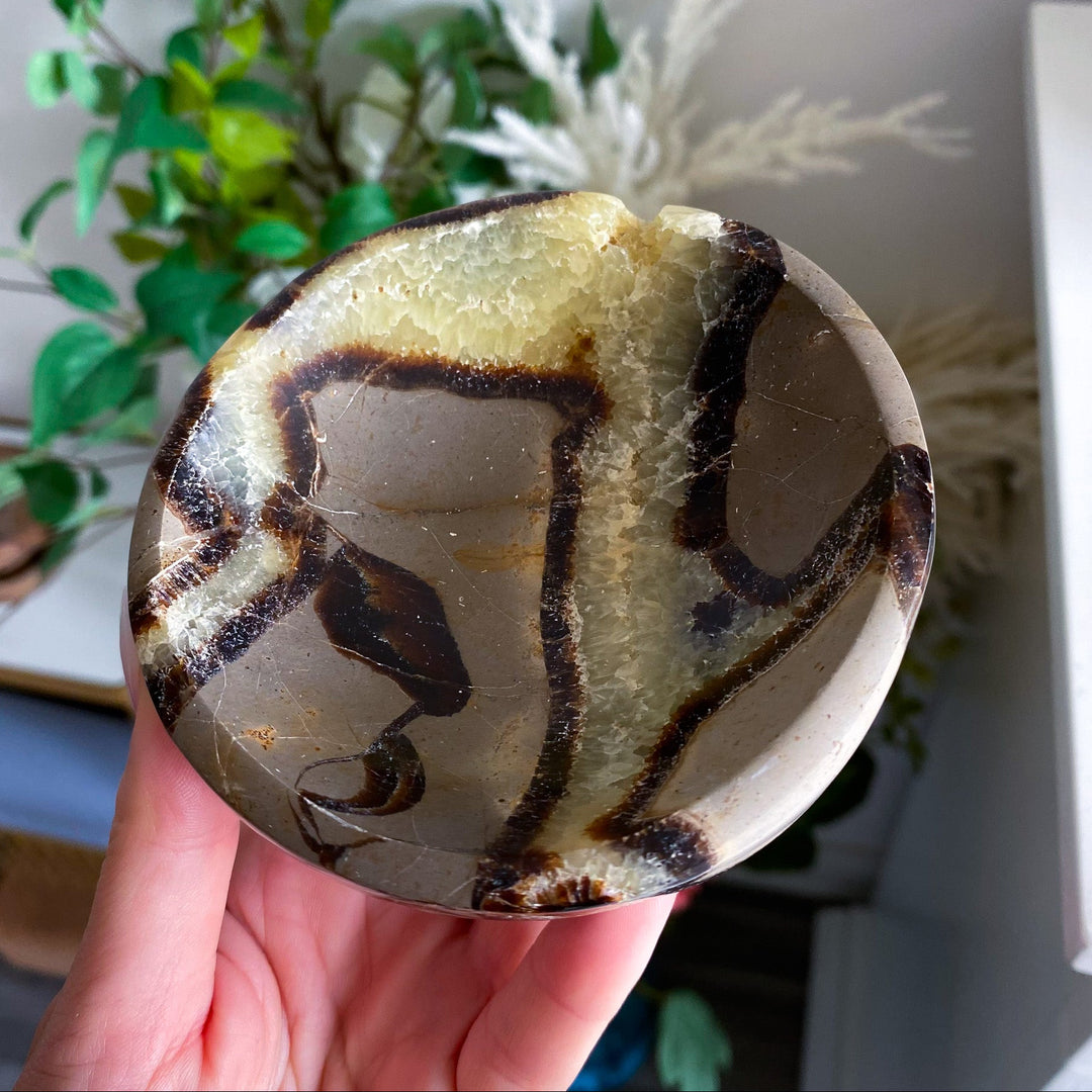 Round Septarian Bowl 
