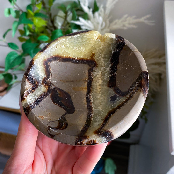 Round Septarian Bowl 