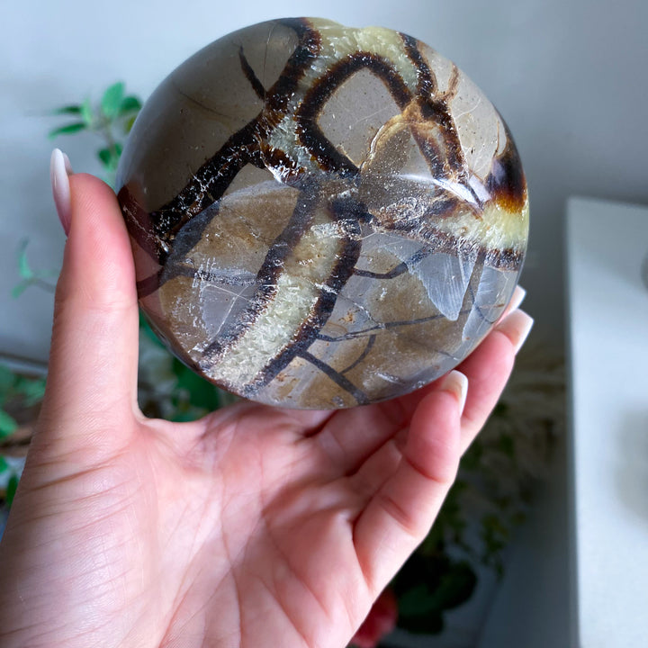 Round Septarian Bowl 