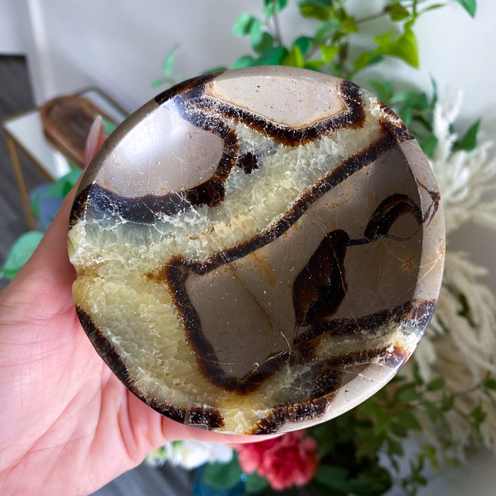 Round Septarian Bowl 