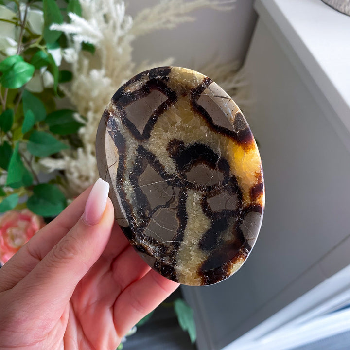 Small Oval Septarian Bowl 