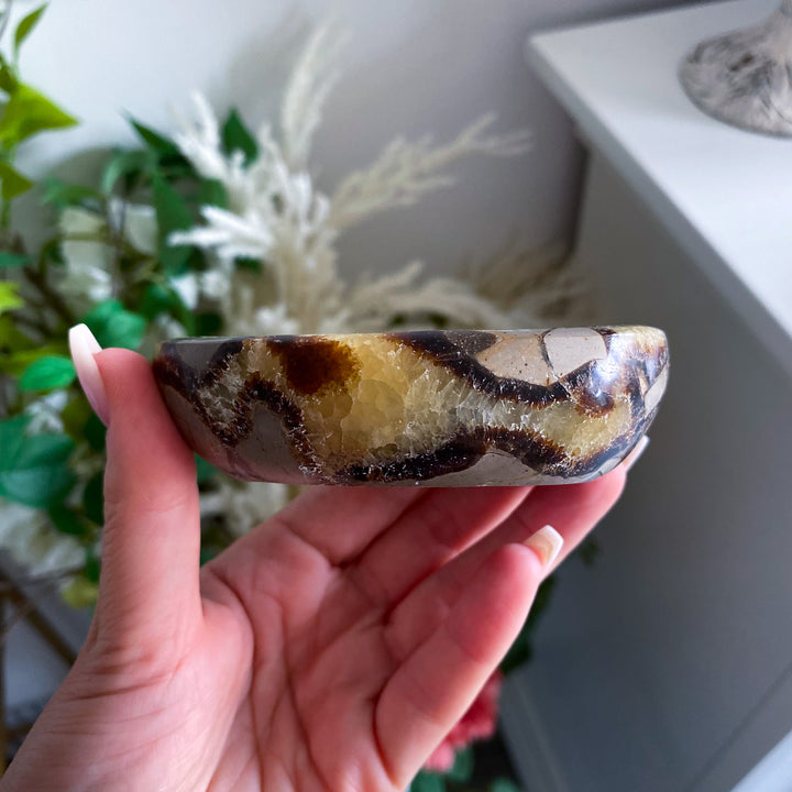 Small Oval Septarian Bowl 