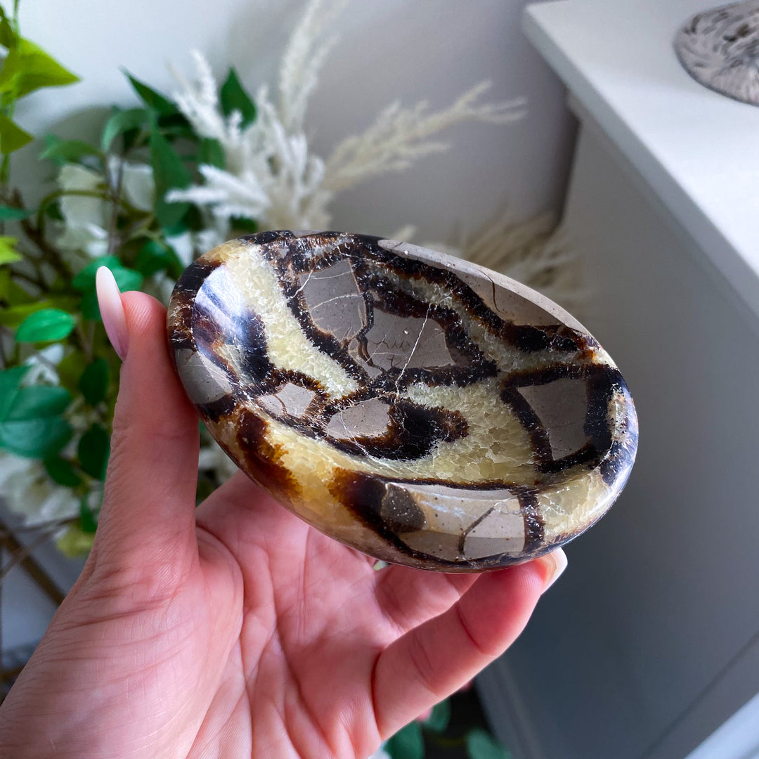 Small Oval Septarian Bowl 