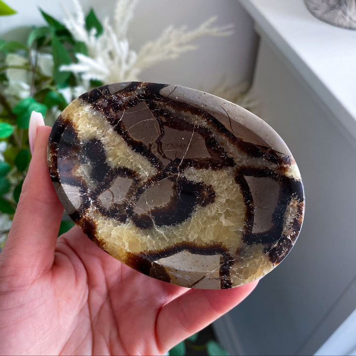Small Oval Septarian Bowl 