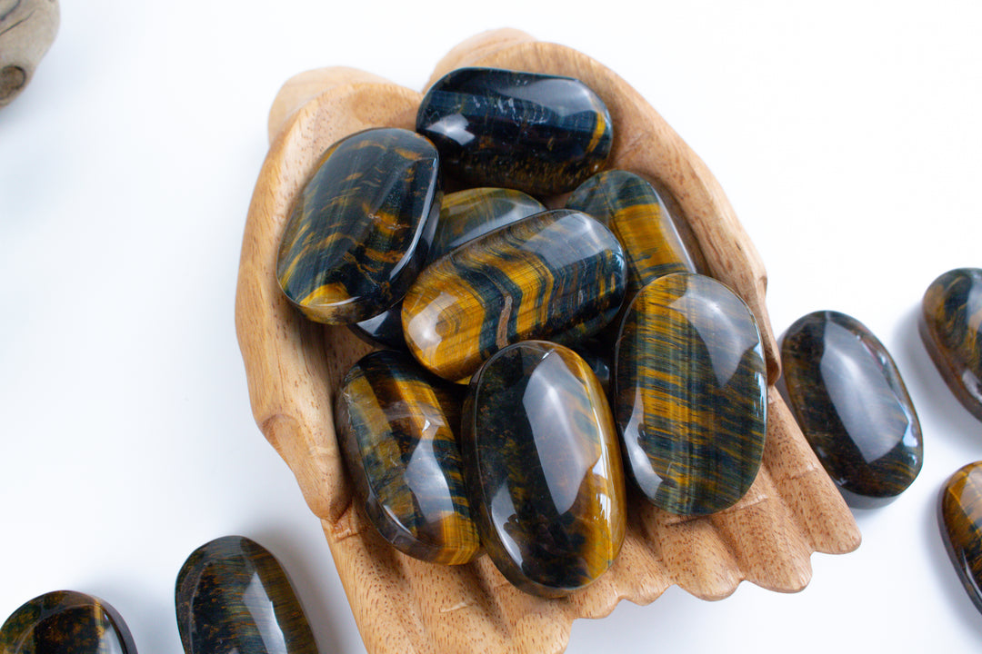 Blue Tiger Eye Palm