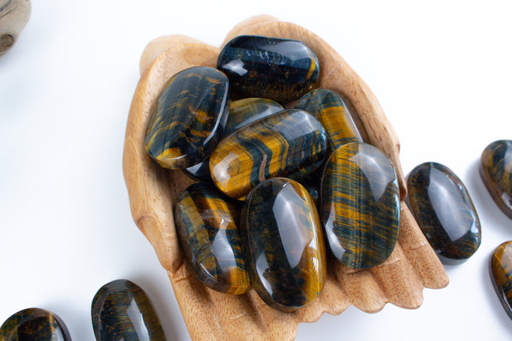 Blue Tiger Eye Palm