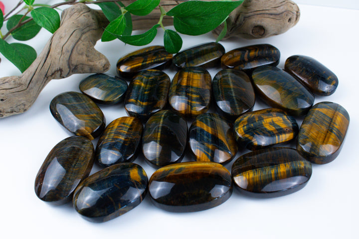 Blue Tiger Eye Palm