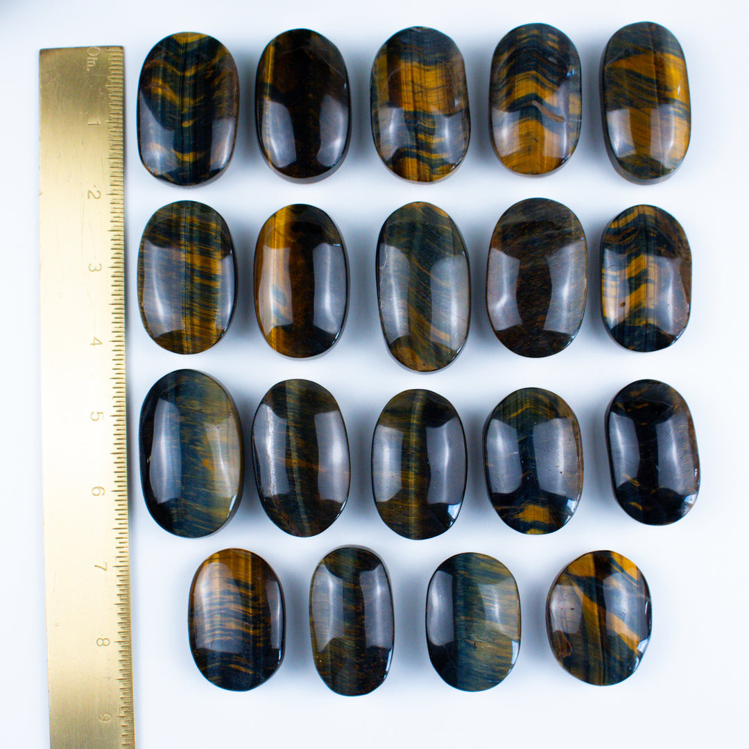 Blue Tiger Eye Palm