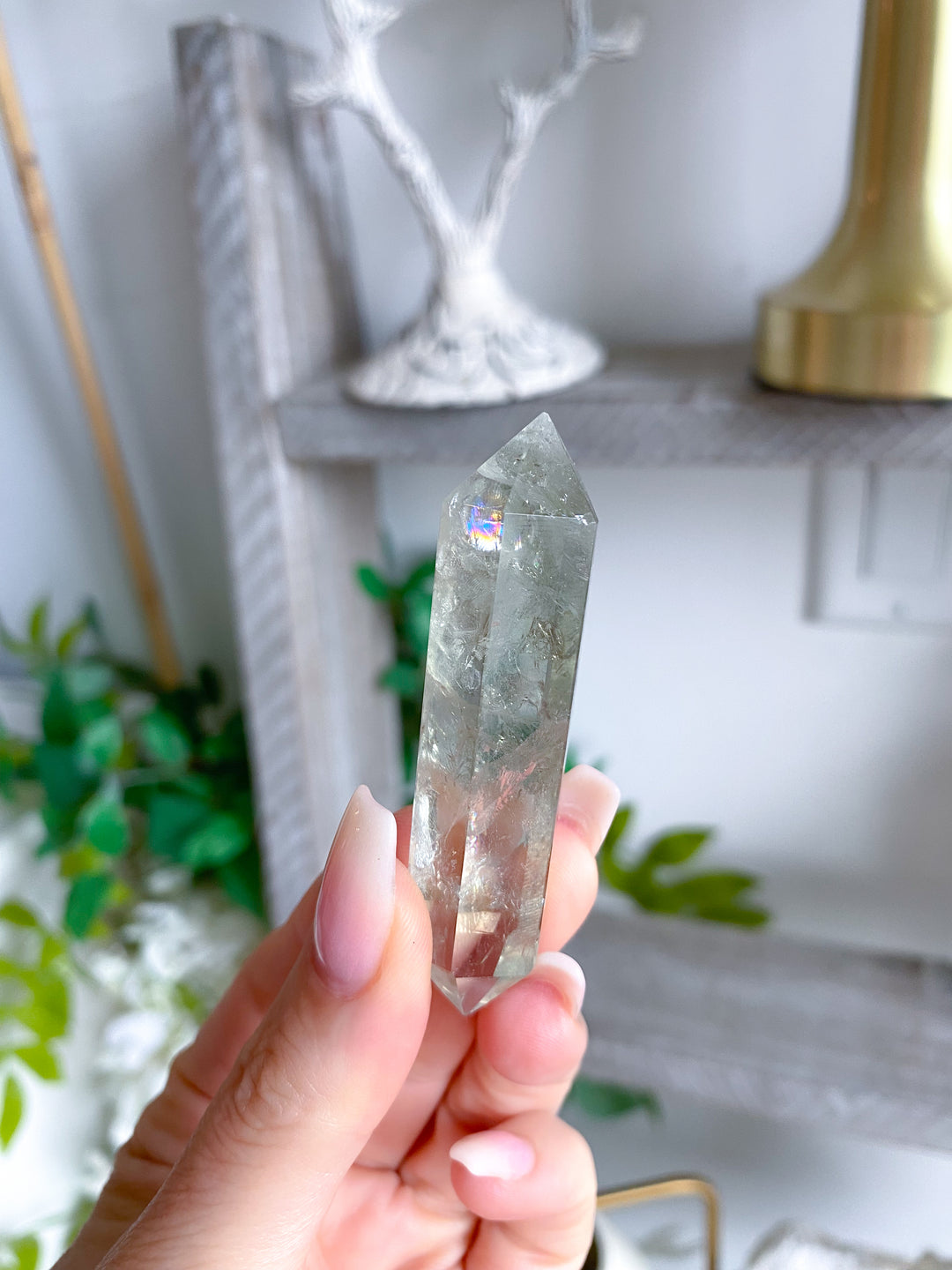 2.5" Prasiolite Double Terminated Wand #2