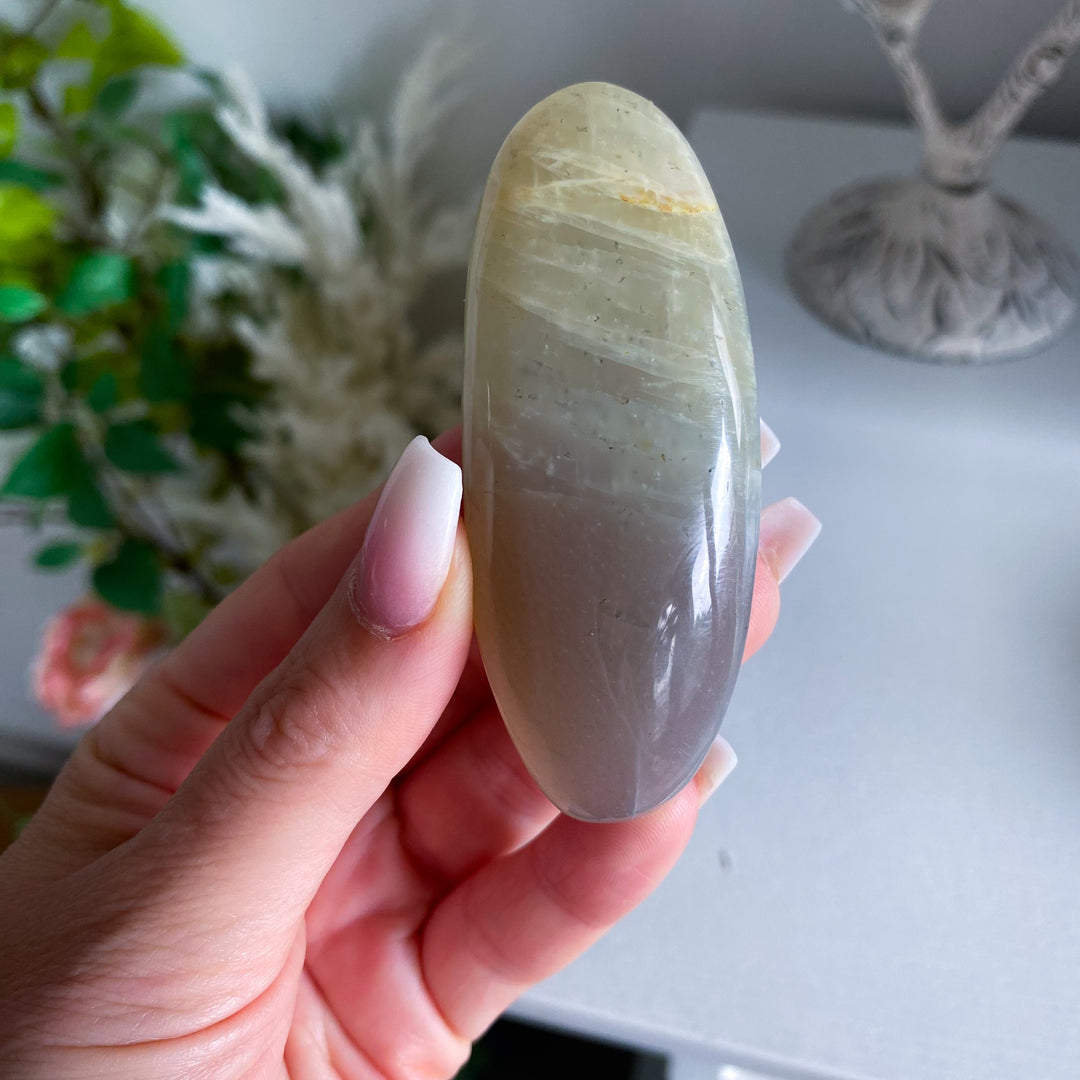 Long Moonstone Palm 
