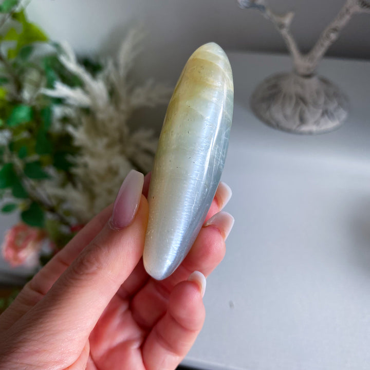 Long Moonstone Palm 