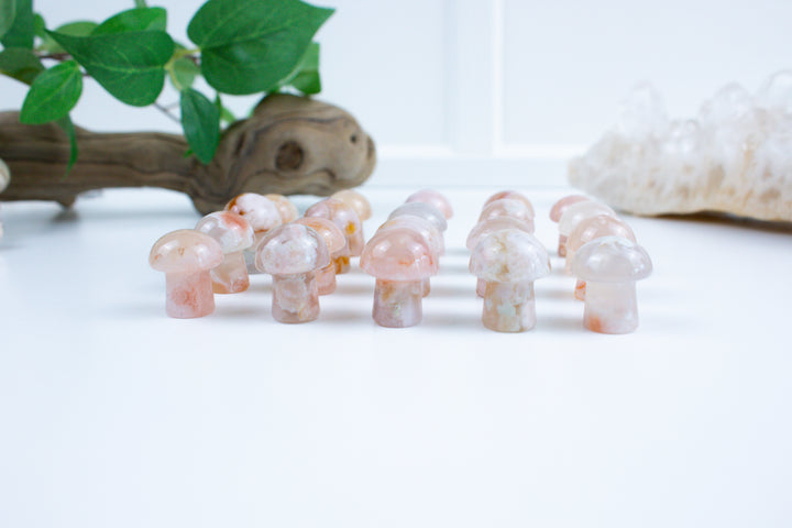 Flower Agate Mini Mushroom