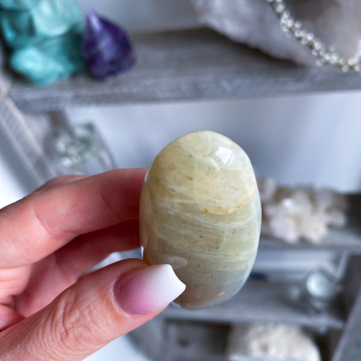 Long Moonstone Palm 