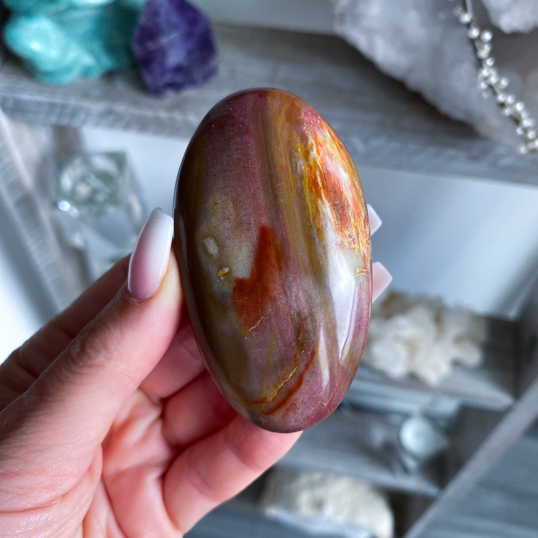 Red Petrified Wood Palm Stone 
