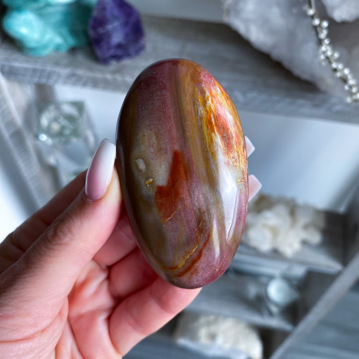 Red Petrified Wood Palm Stone 