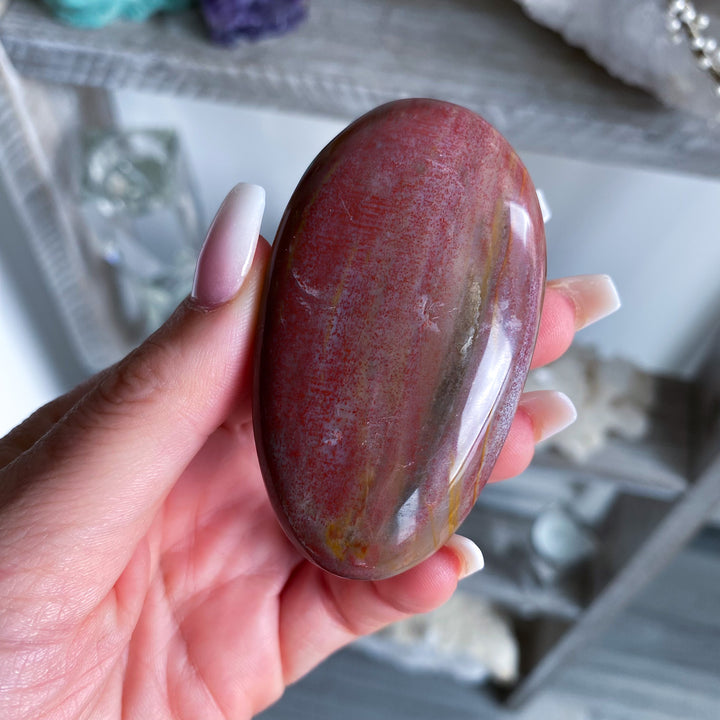 Red Petrified Wood Palm Stone 