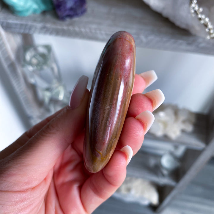 Red Petrified Wood Palm Stone 