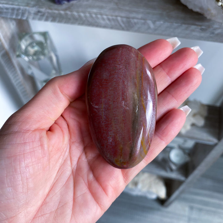 Red Petrified Wood Palm Stone 