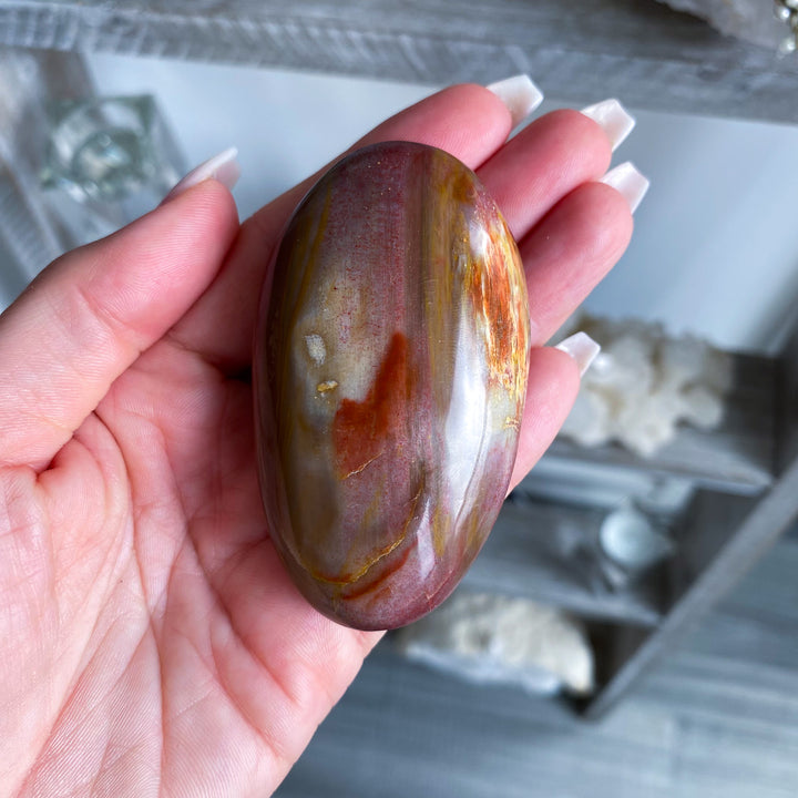 Red Petrified Wood Palm Stone 