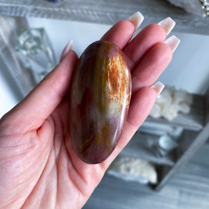 Red Petrified Wood Palm Stone 