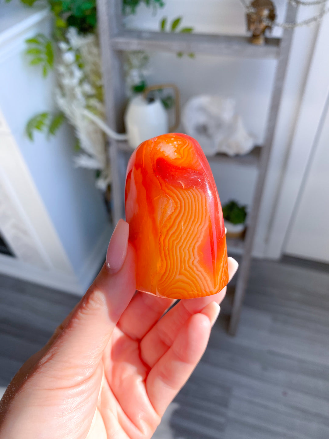 Choose Your Carnelian Freeform