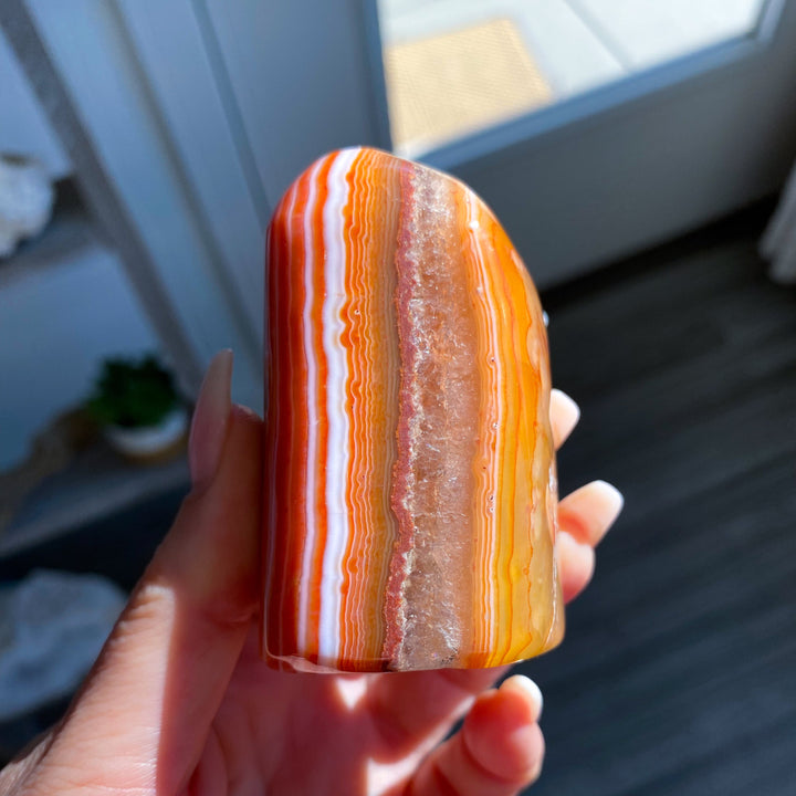 Choose Your Carnelian Freeform