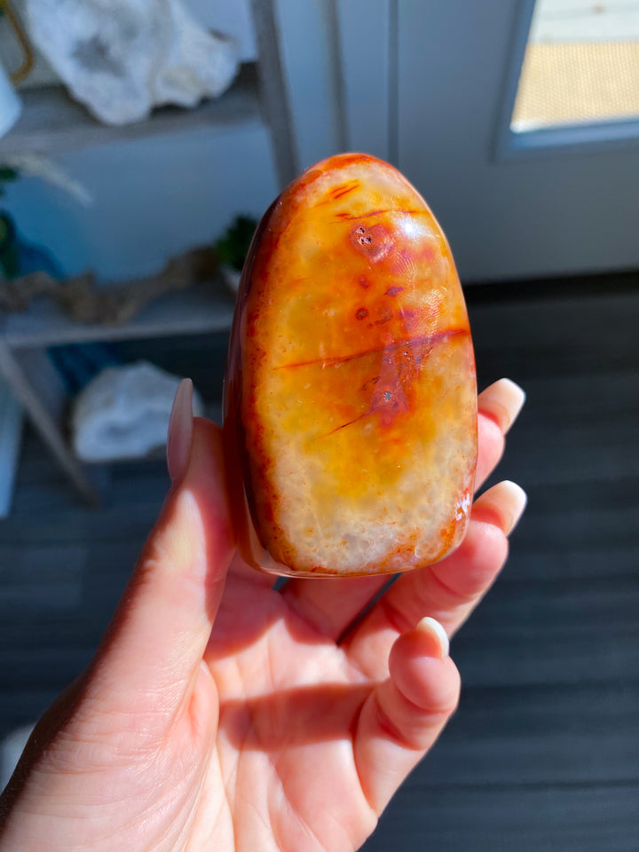 Choose Your Carnelian Freeform