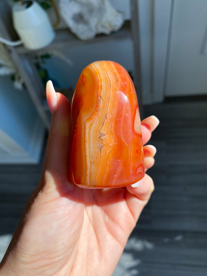 Choose Your Carnelian Freeform