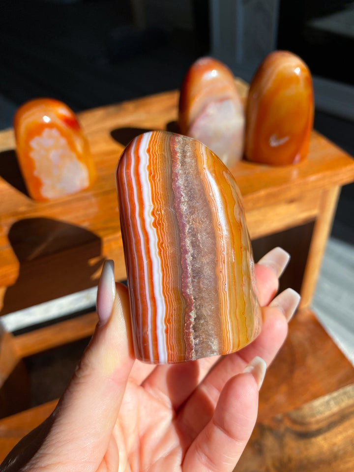 Choose Your Carnelian Freeform