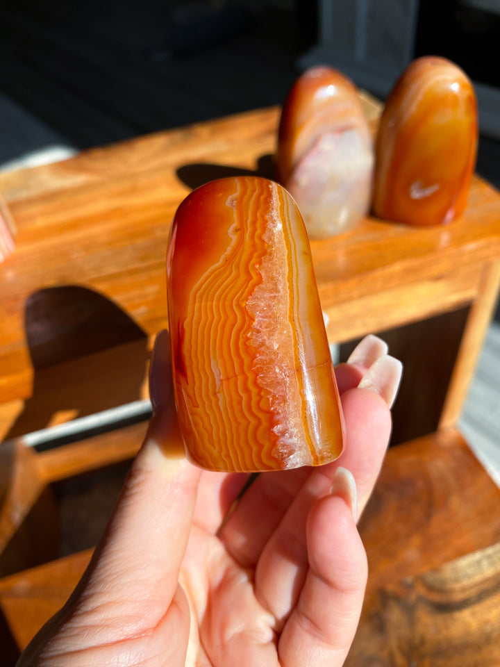 Choose Your Carnelian Freeform
