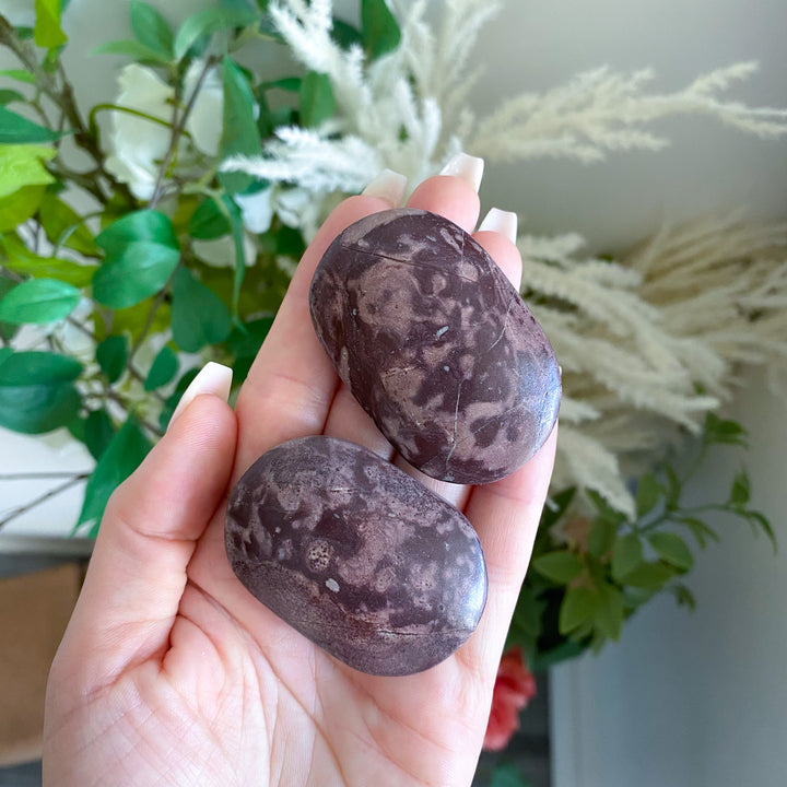 Small Deep Mauve Picture Jasper Palm