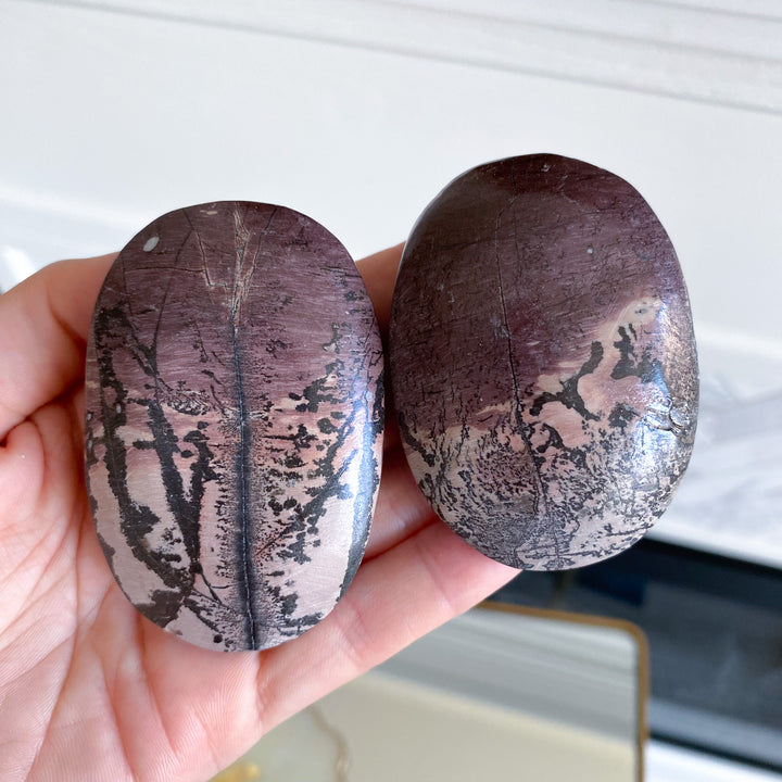 Ombre Mauve Picture Jasper Palm