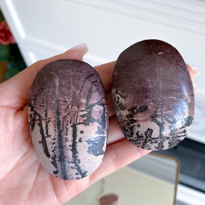 Ombre Mauve Picture Jasper Palm