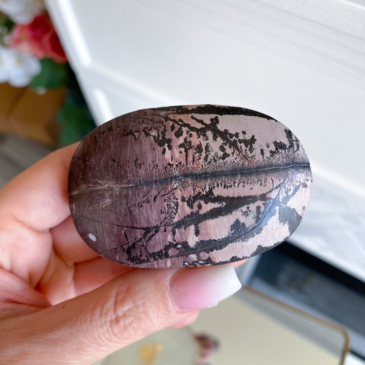 Ombre Mauve Picture Jasper Palm