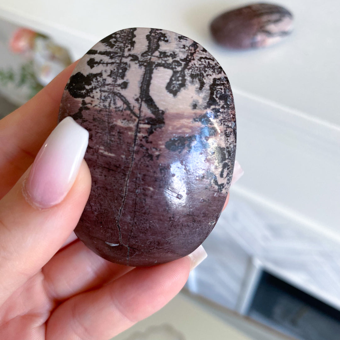 Ombre Mauve Picture Jasper Palm