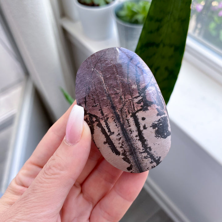 Ombre Mauve Picture Jasper Palm